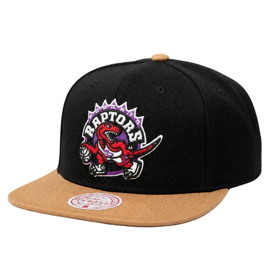 MITCHELL & NESS TORONTO RAPTORS TEAM DNA 2 SNAPBACK HAT