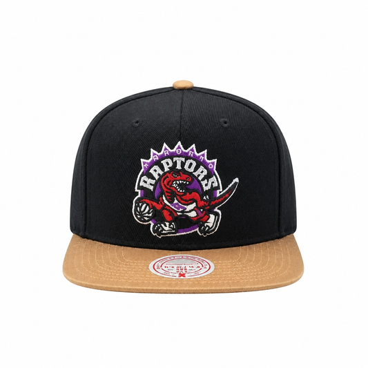 MITCHELL & NESS TORONTO RAPTORS TEAM DNA 2 SNAPBACK HAT