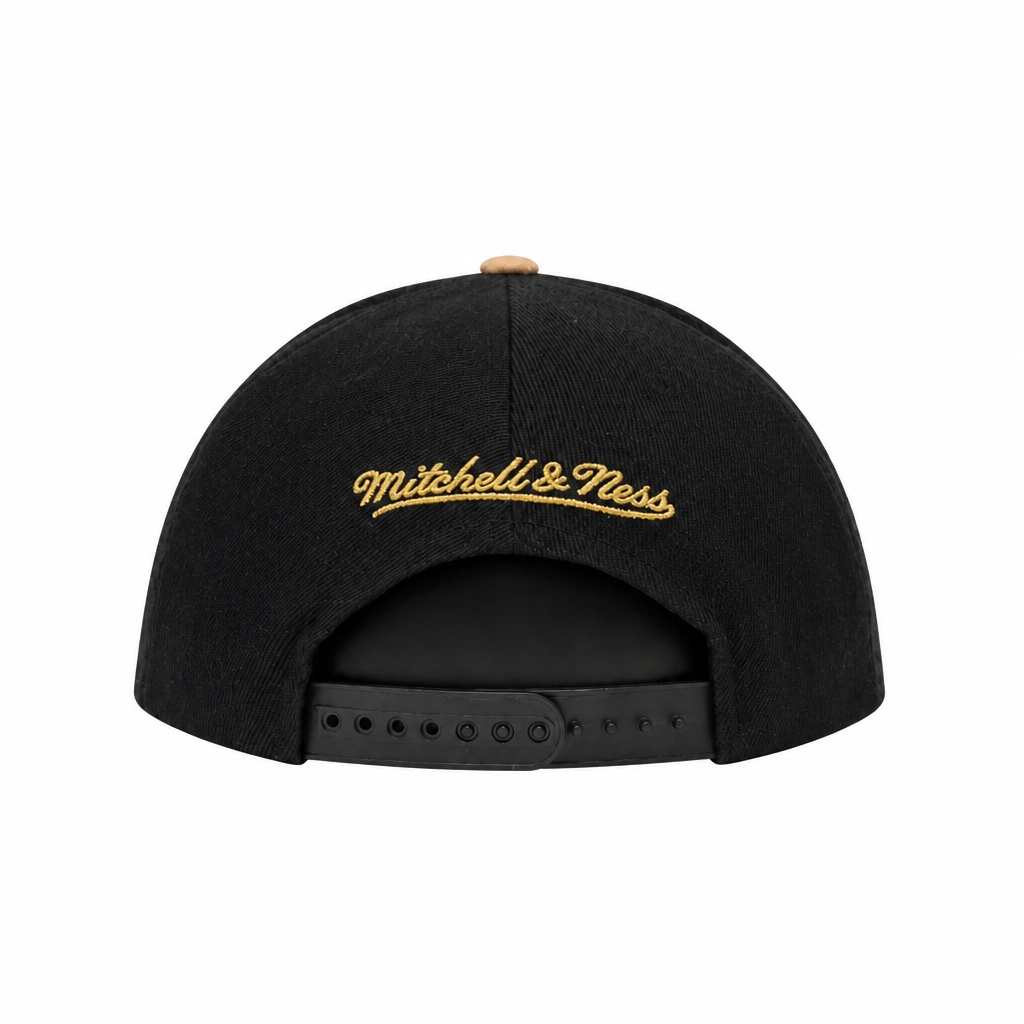 MITCHELL & NESS TORONTO RAPTORS TEAM DNA 2 SNAPBACK HAT