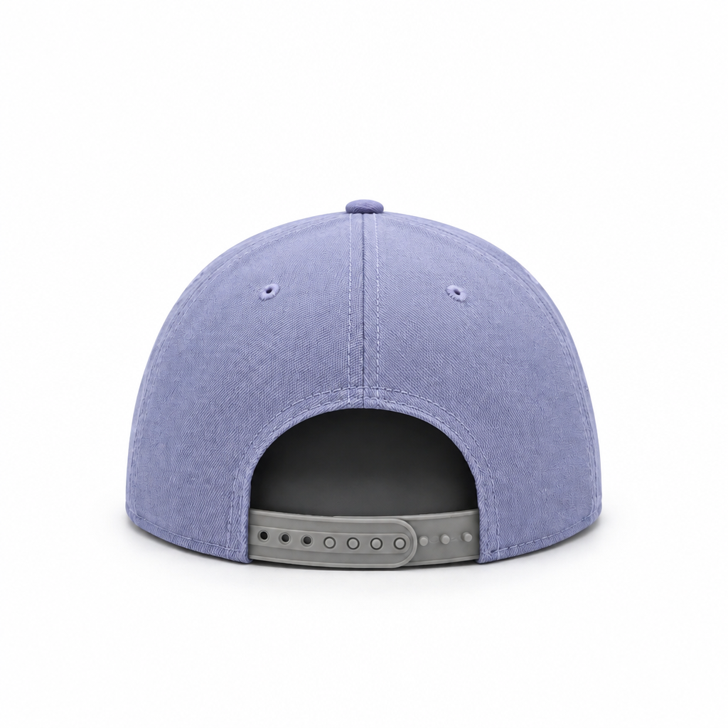 MEN'S NEW ERA NBA TORONTO RAPTORS DINO LOGO LAVENDER & PURPLE 30TH ANNIVERSARY SEASON PATCH SNAPBACK HAT
