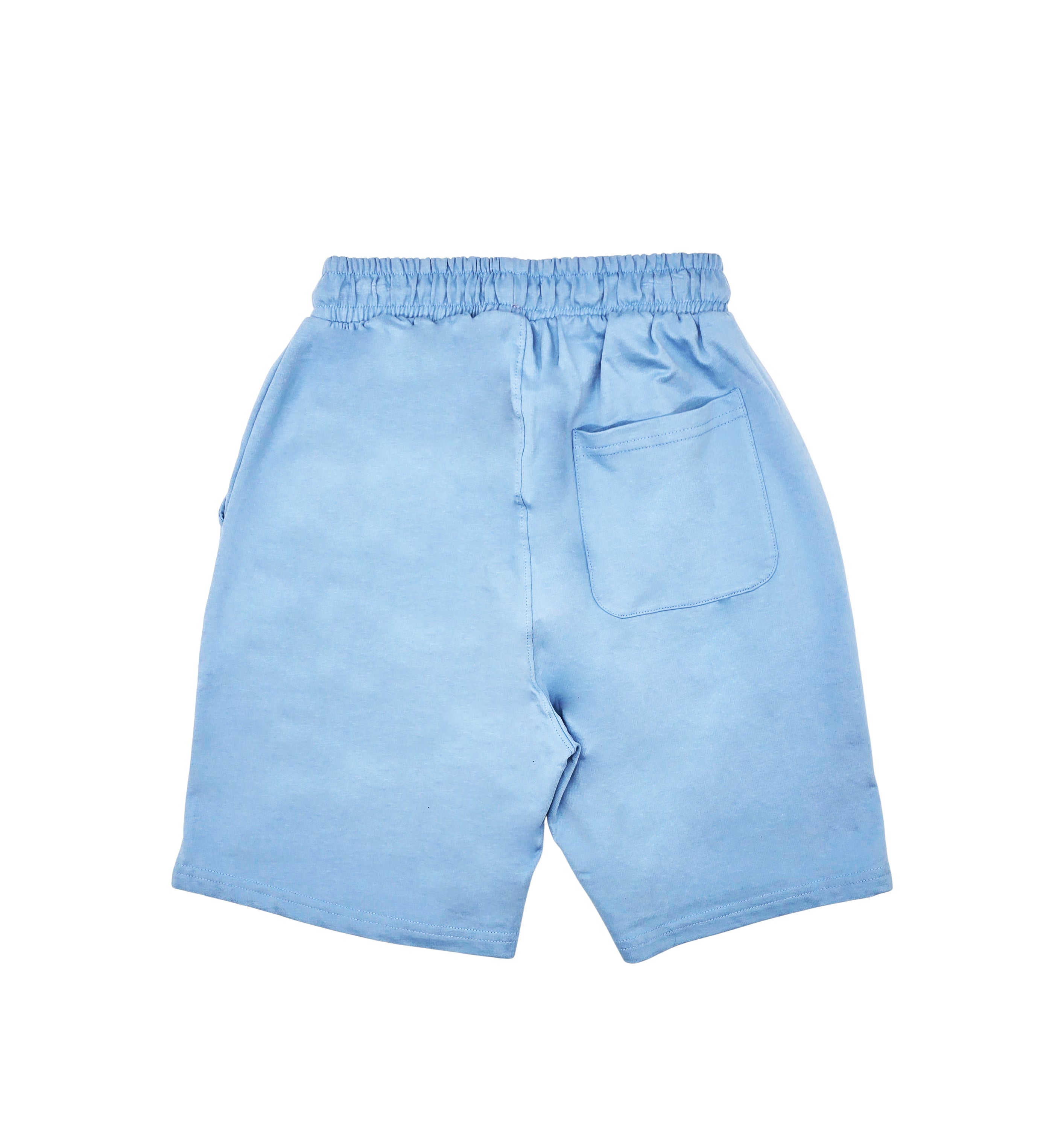 MEN'S SPORTS KNIT FRENCH TERRY SHORTS (SKY BLUE)