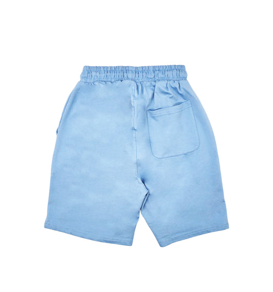 MEN'S SPORTS KNIT FRENCH TERRY SHORTS (SKY BLUE)