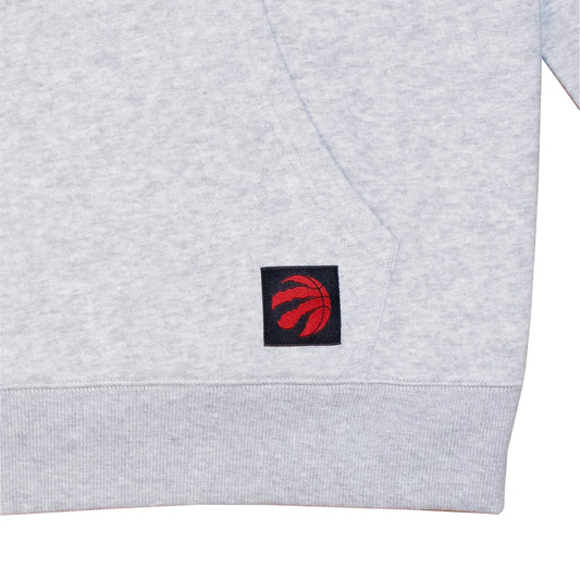 NBA MEN'S TORONTO RAPTORS HOODIE (GREY)