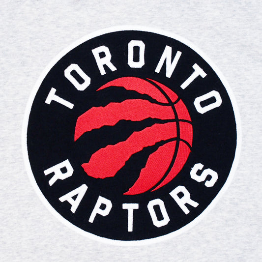 NBA MEN'S TORONTO RAPTORS HOODIE (GREY)