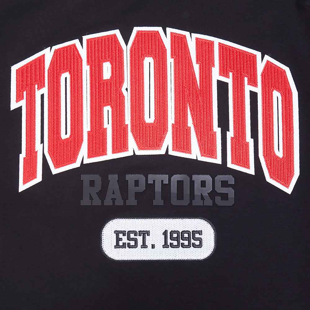 PRO STANDARD MLB TORONTO RAPTORS CITY ARCH M SJ TEE MEN'S BLACK T-SHIRT