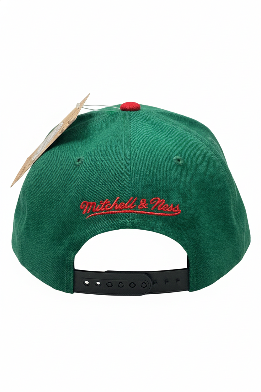 TORONTO RAPTORS OLD LOGO GREEN WITH BLACK SNAPBACK HAT