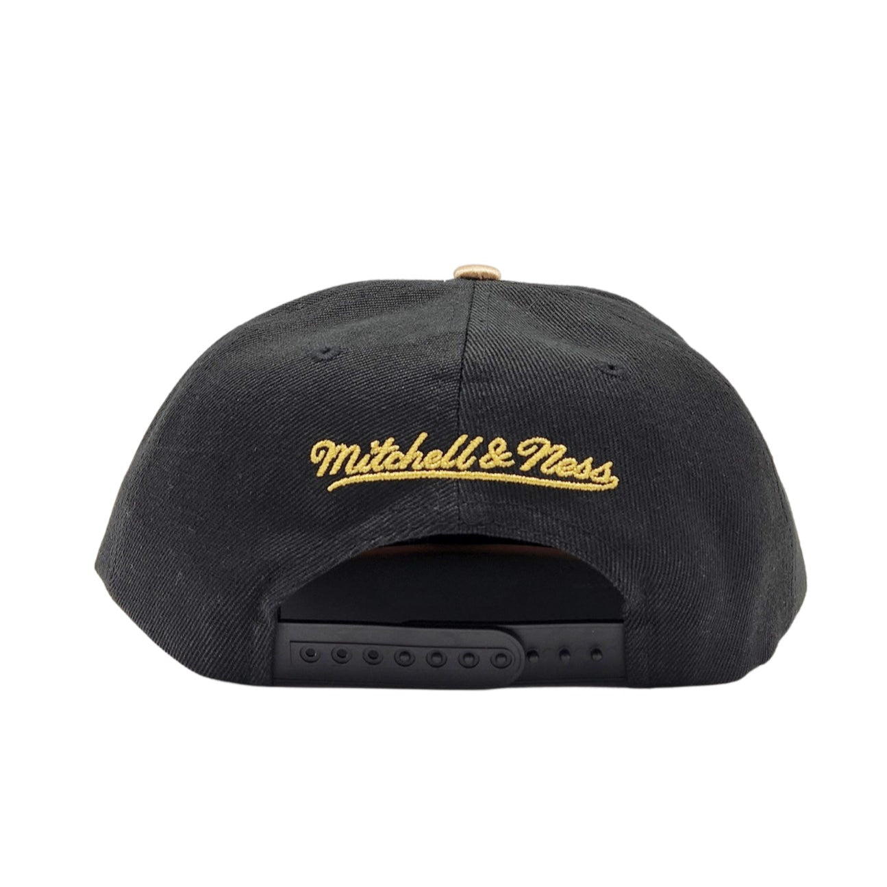 MITCHELL & NESS TORONTO RAPTORS TEAM DNA 2 SNAPBACK HAT