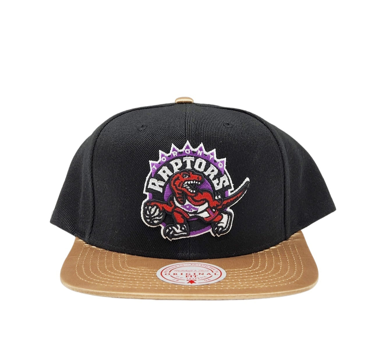 MITCHELL & NESS TORONTO RAPTORS TEAM DNA 2 SNAPBACK HAT