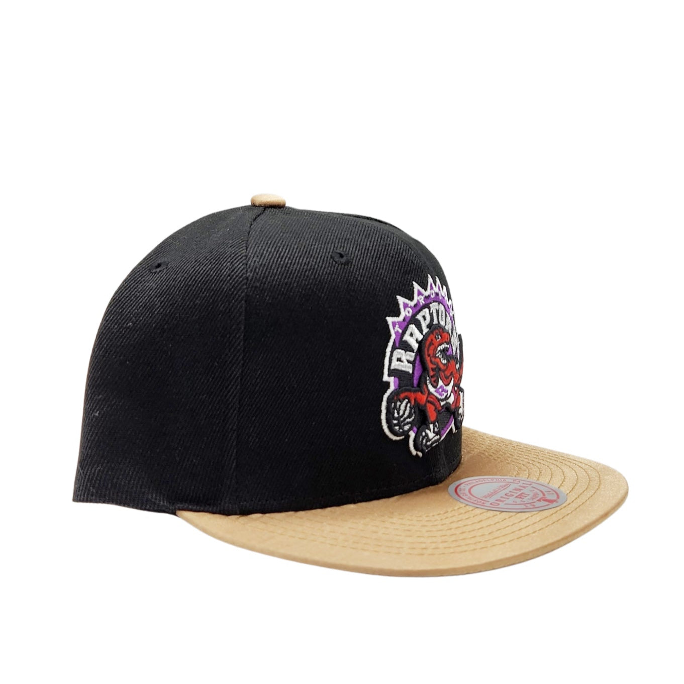 MITCHELL & NESS TORONTO RAPTORS TEAM DNA 2 SNAPBACK HAT
