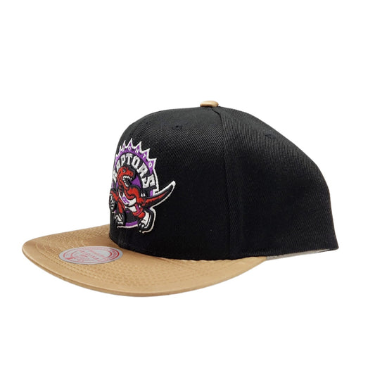 MITCHELL & NESS TORONTO RAPTORS TEAM DNA 2 SNAPBACK HAT