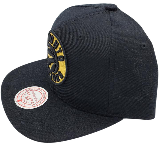MEN'S TORONTO RAPTORS BLACK AND GOLDEN SNAPBACK